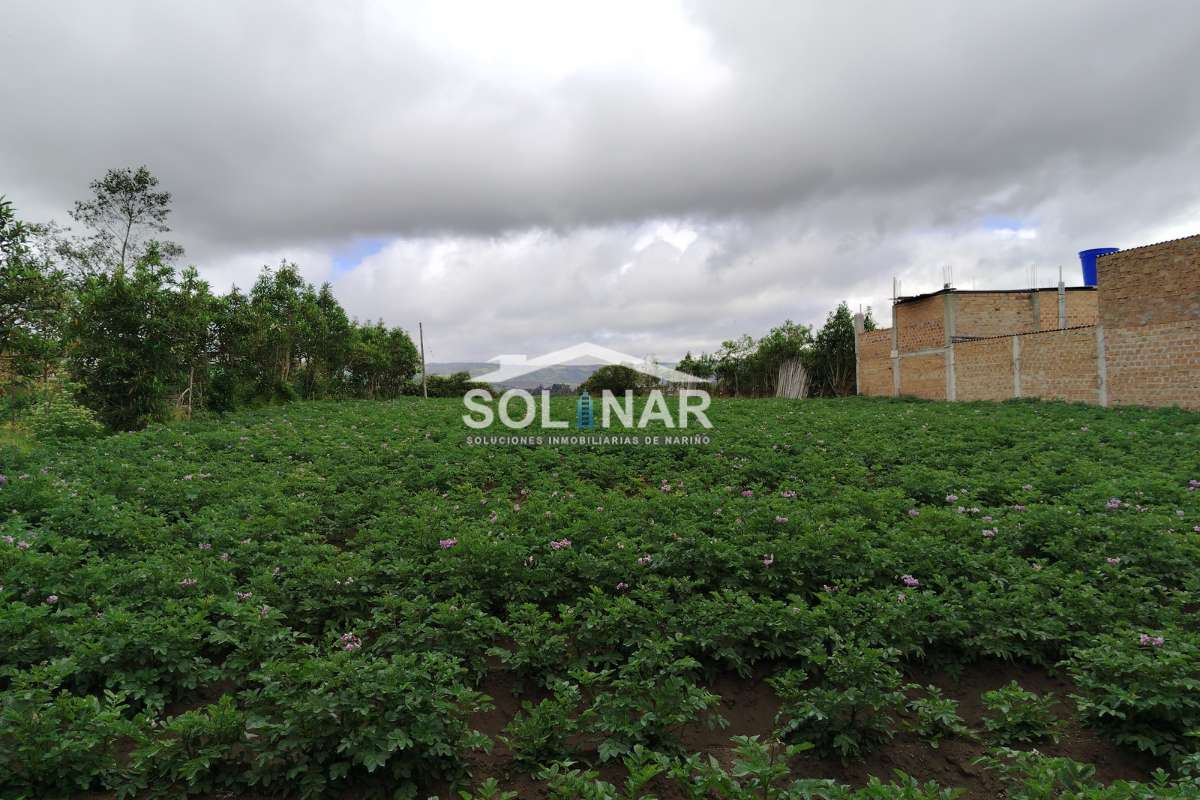 LOTE EN VENTA SECTOR EL PLACER 7x26 Cod.L016
