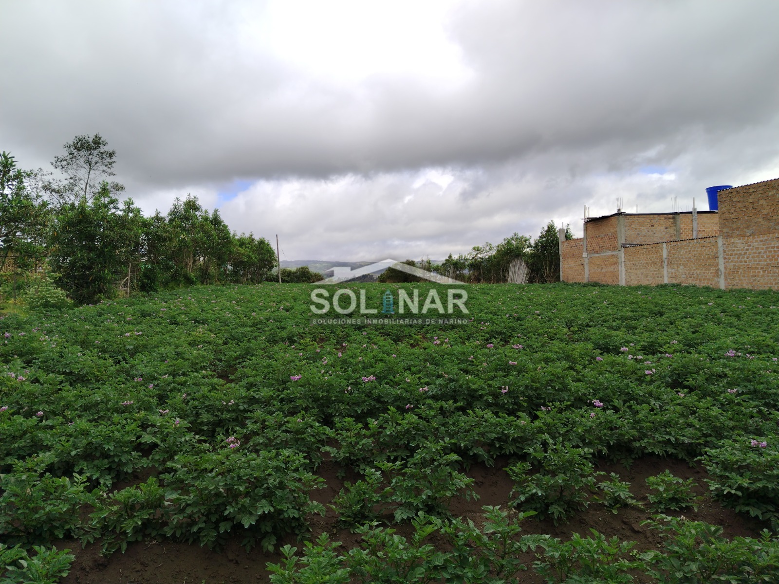 Lote en sector el Placer - Ipiales Cod. L016