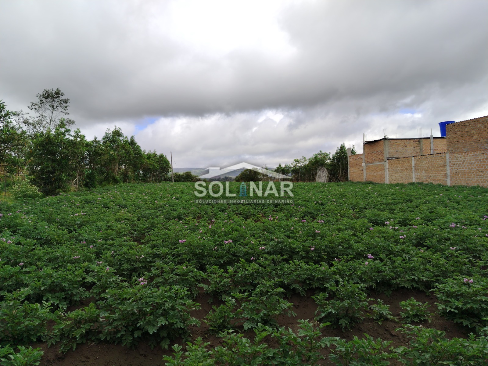 Lote en sector el Placer - Ipiales Cod. L016