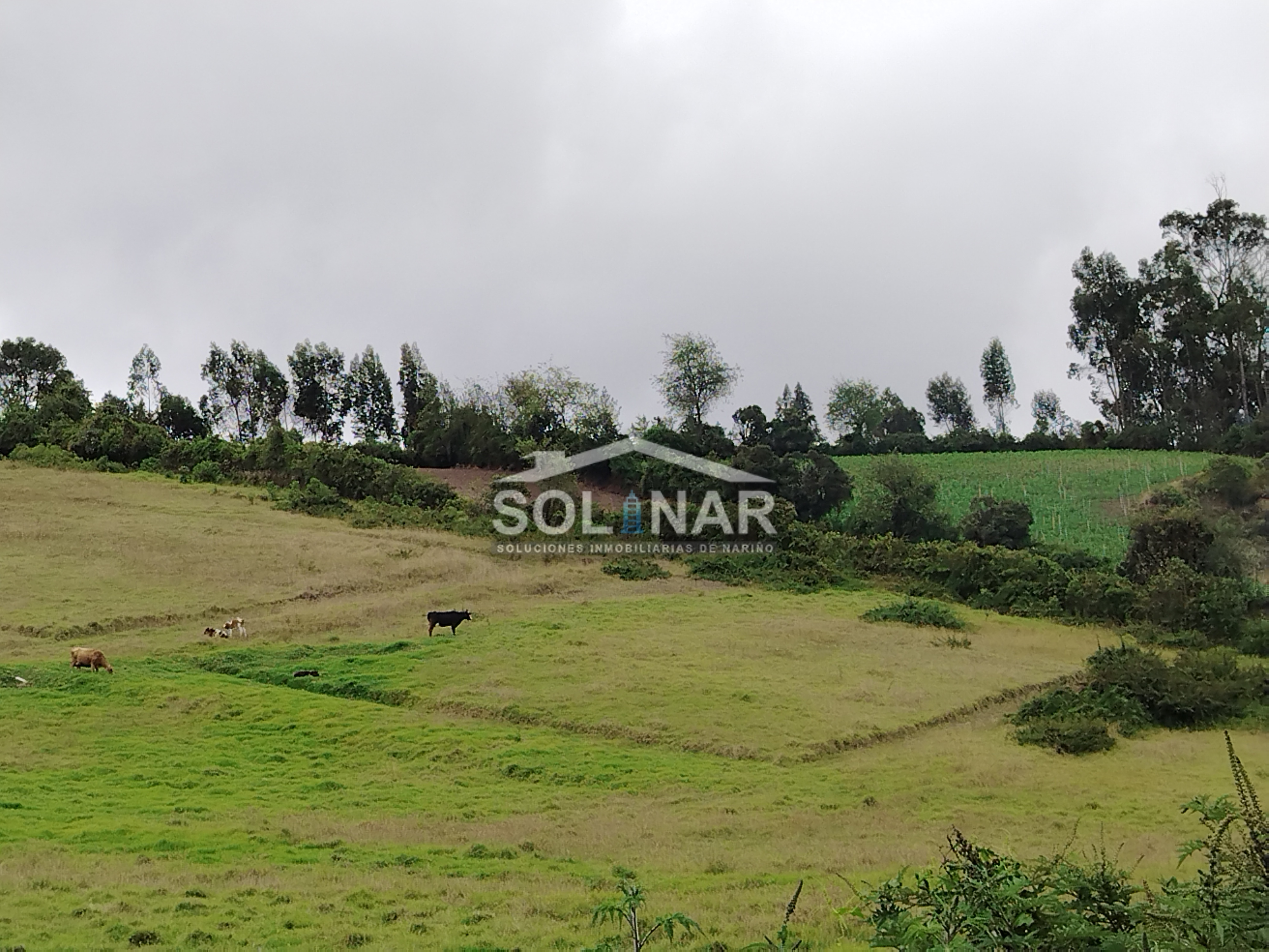 Lote San Luis Saguaran Cod. L024