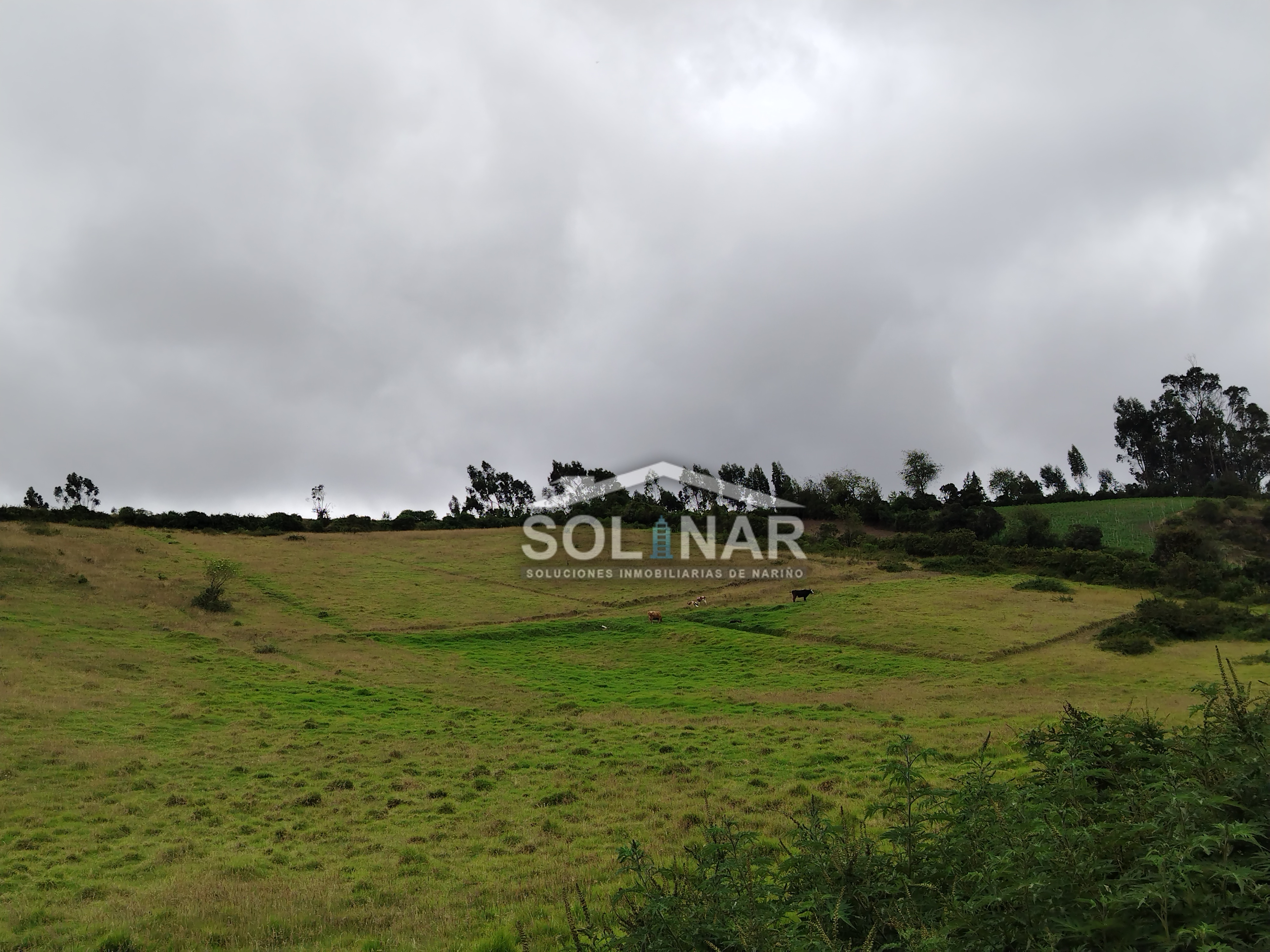 Lote San Luis Saguaran Cod. L024