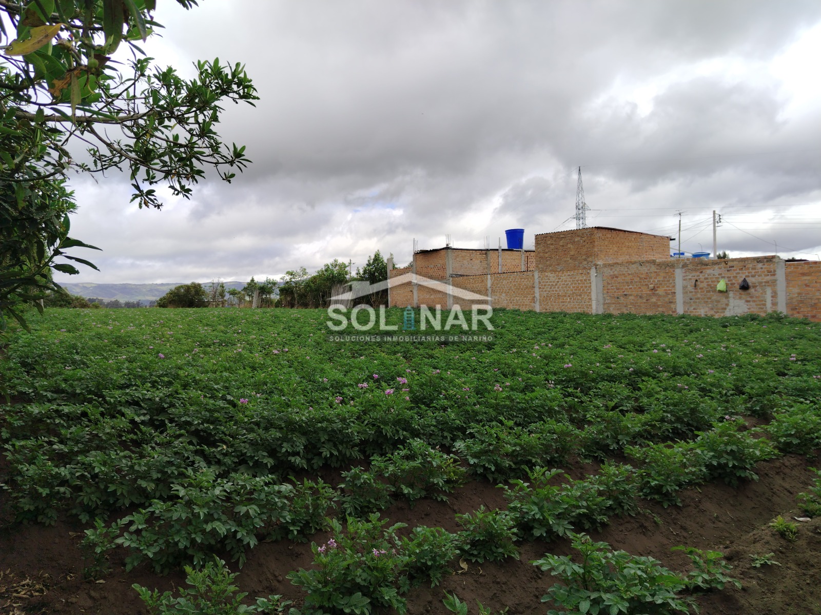 Lote en sector el Placer - Ipiales Cod. L016