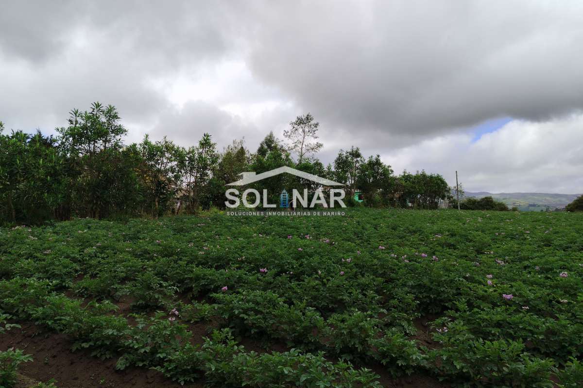 LOTE EN VENTA SECTOR EL PLACER 7x26 Cod.L016